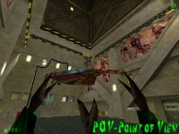 pov.exe